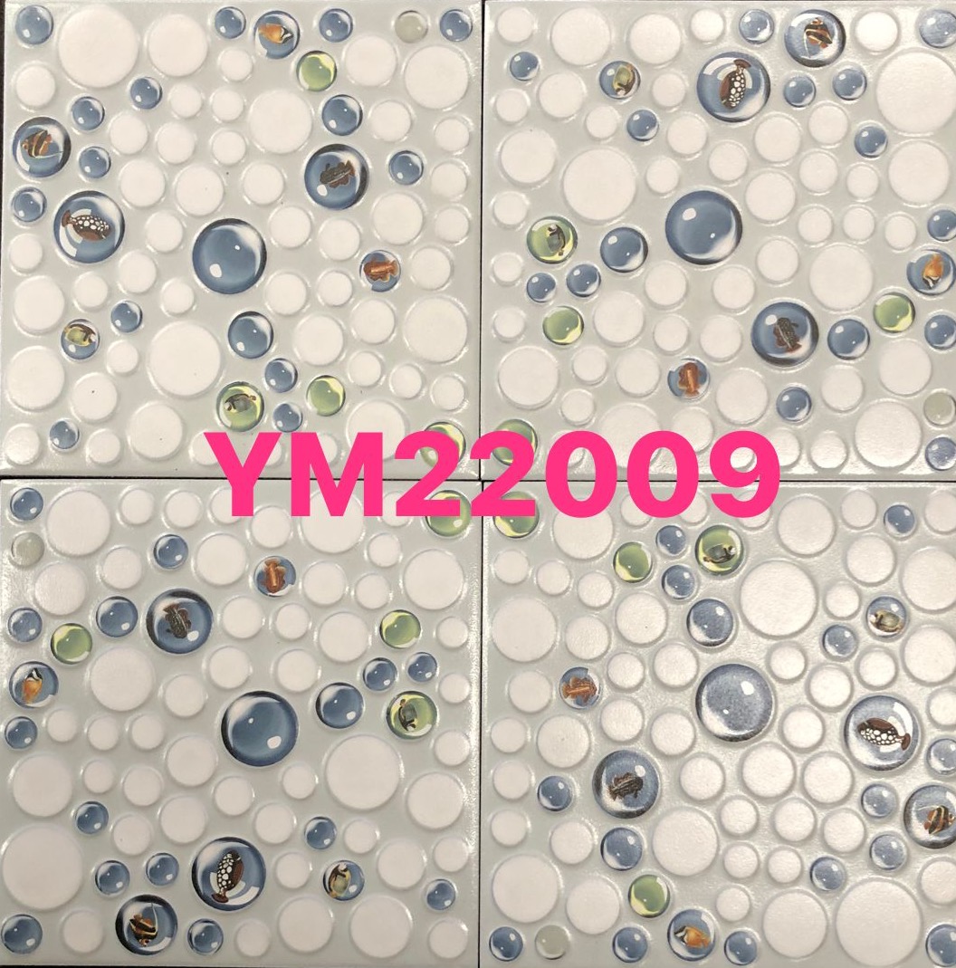 Un carton de Carreaux. 20/20