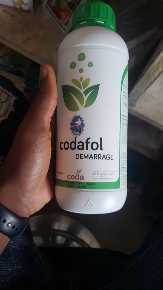 Codafol