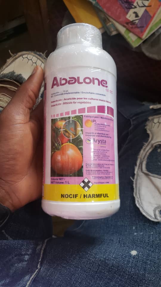Abalone