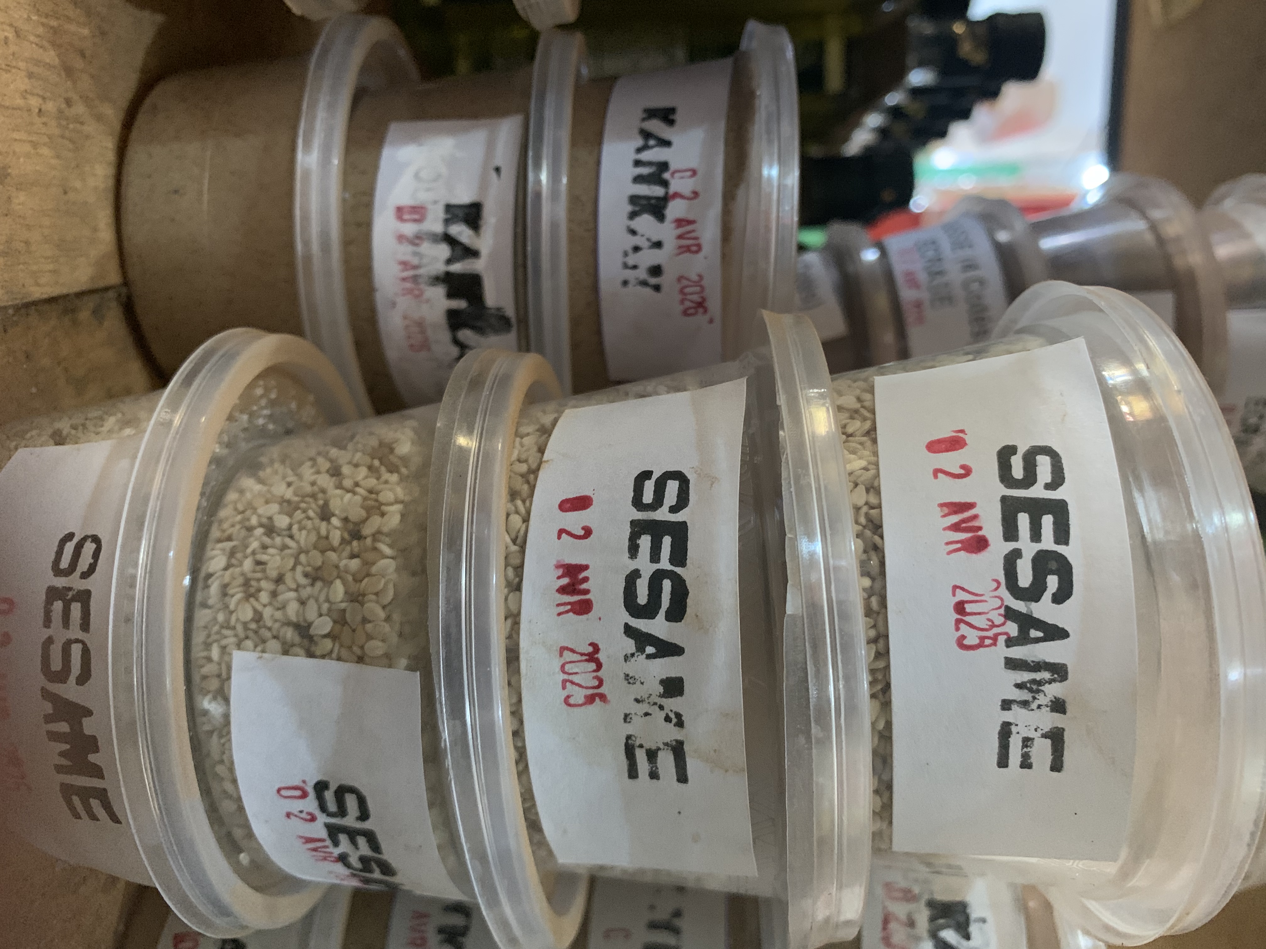 Grain de sesam