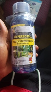 Syperboss n’