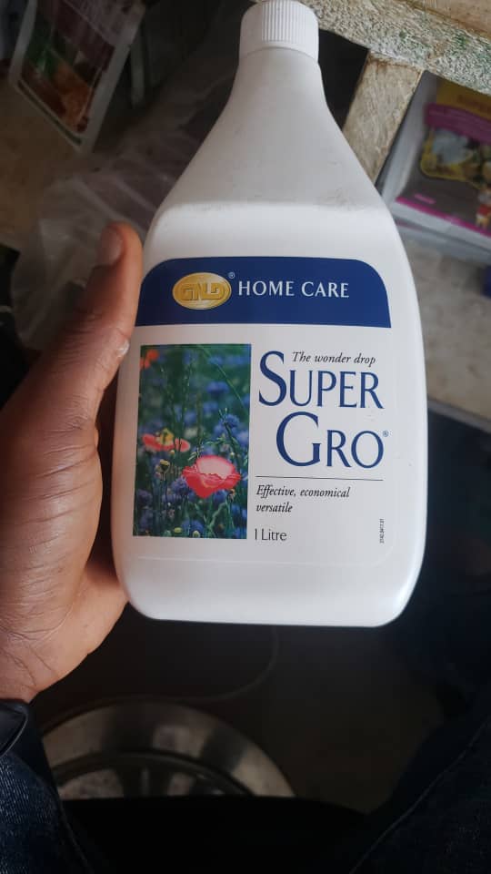 Super gros