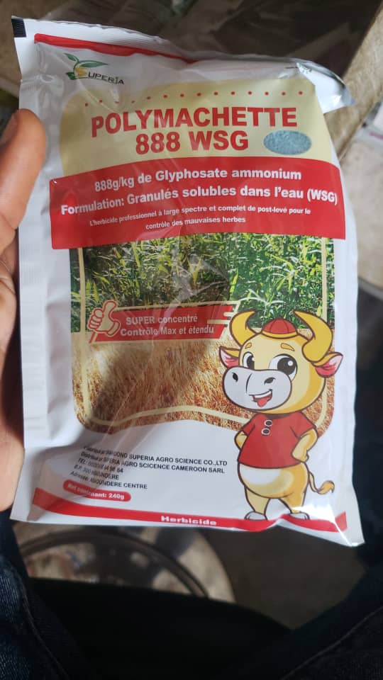 Herbicides systémique