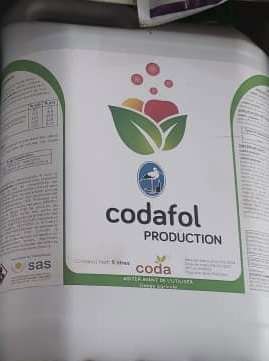 Codafol production