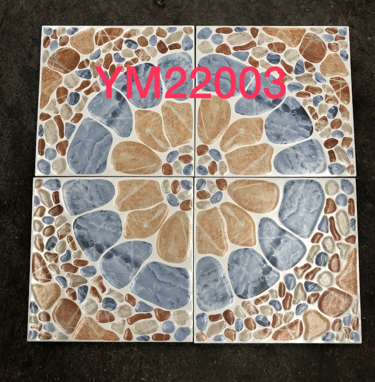 Un carton de Carreaux 20/20