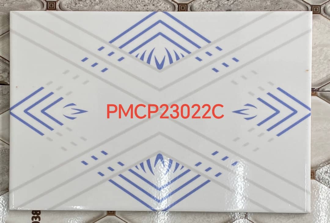 Gf 20/30 un carton 