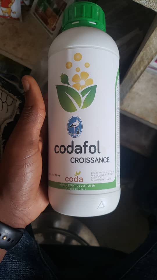 Codafol démarrage