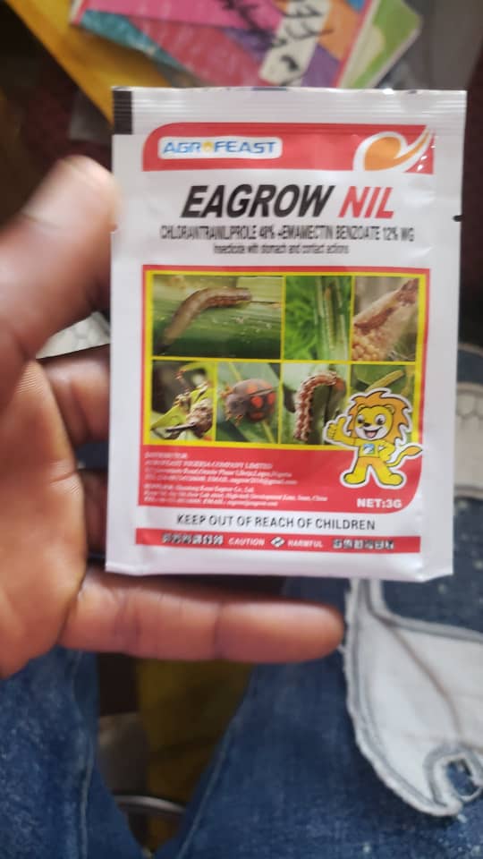 Insecticides contre boko Haram